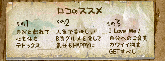 ロコのススメ