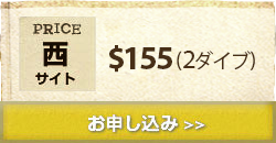 ファンダイビングお申し込み