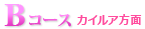 カイルア方面　Bコース
