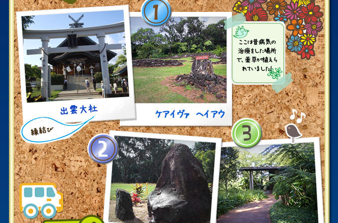 �p���[�X�|�b�g �n���C �q�[�����O