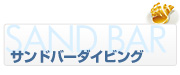 サンドバー ハワイでダイビング