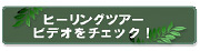 ハワイ オアフ島 ヒーリングツアー