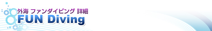 外海 FUN ダイビング 詳細