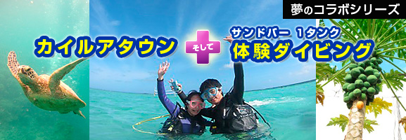 カイルアタウン散策 ＋ サンドバーでダイビング