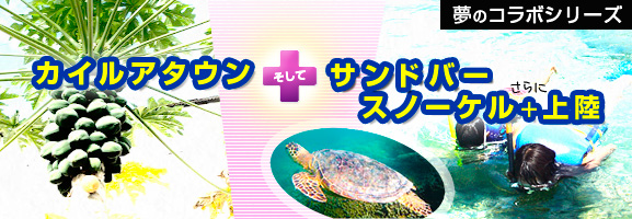 カイルアタウン散策 ＋ サンドバースノーケル