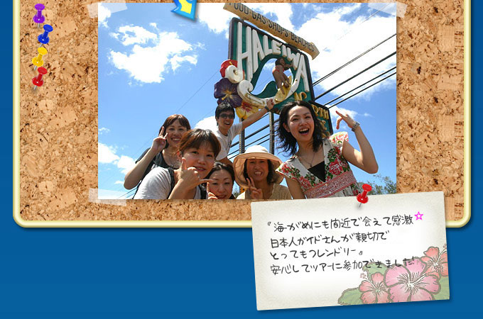 ノースショア ツアー ハレイワ