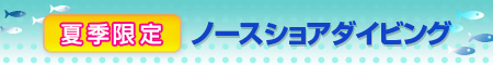 夏季限定！ ノースショアダイビング ツアー