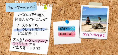 ハワイ ノースショアツアー スケジュール